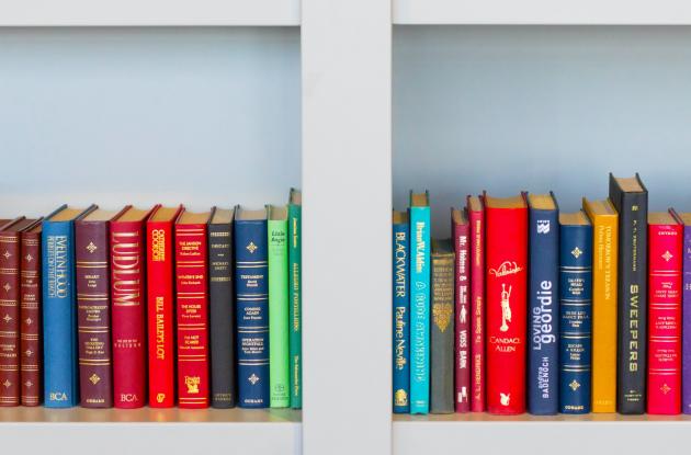 Books on bookshelf